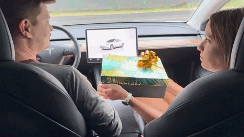 Tesla nyakpárna ajándék animáció